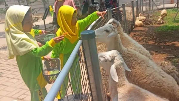 Pengalaman Edukatif Azkhana di Mini Zoo: Memperkenalkan Satwa sejak Dini Tingkatkan Kecerdasan Emosional Anak