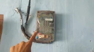 Pln