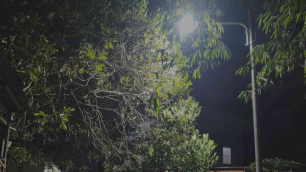 Janji Tak Sekadar Lampu: Kadishub Bekasi Bikin Warga Cikiwul Akhirnya Bisa Lihat Lubang Jalan di Malam Hari