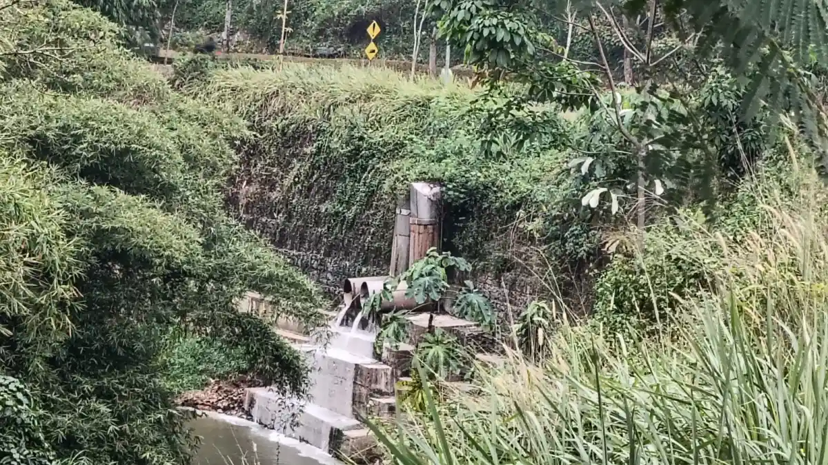 Pencemaran lingkungan