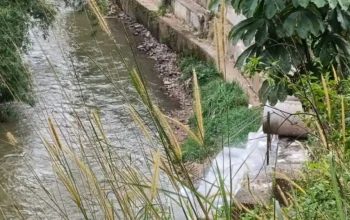 UPTD LH Jatisampurna Lepas Tangan, Limbah Pabrik Bakso Cemari Kali Cikeas