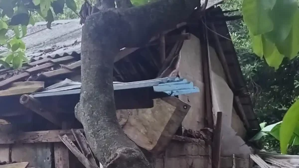 Hujan Deras Terjang Rumah Warga, Separuh Bangunan Ambruk